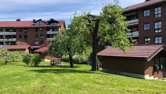 grøntarealene til sameiet hamang gård
