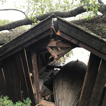 Tykk trestamme ligger over taket på skadet naust med båt