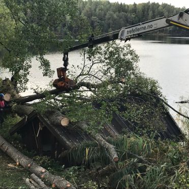 Kran løfter tre fra taket på et naust